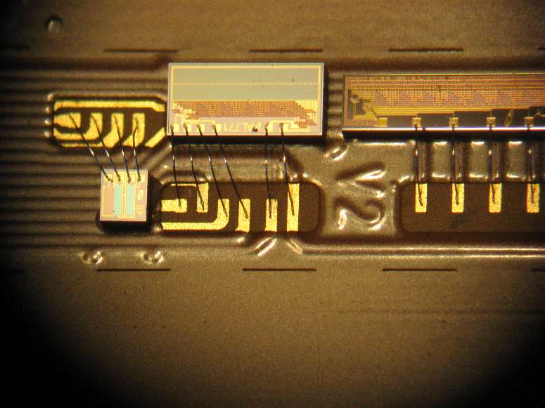 Leiterplatten - Als Muster eine Flexprint Anwendung, die Chip's sind direkt auf der Folie plaziert 
